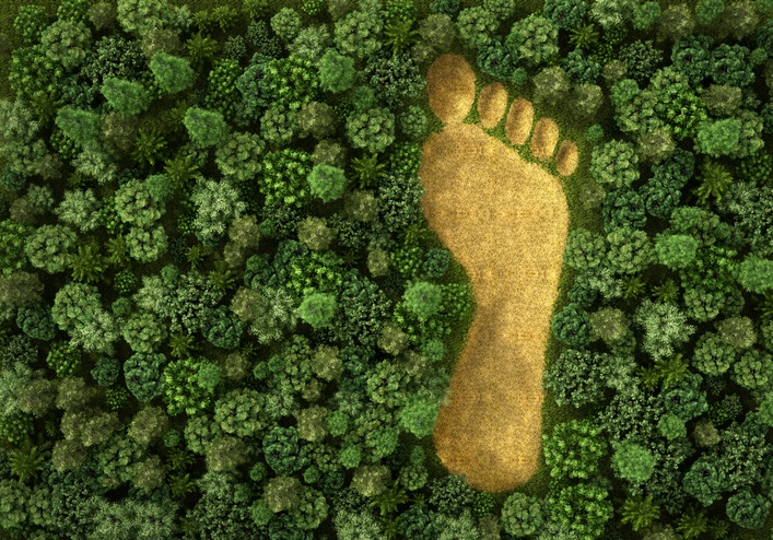 Aerial view of a lush green forest with trees densely packed, revealing a large bare footprint-shaped clearing at the center. This earth-toned patch devoid of trees hints at human impact, much like a shipping box leaving its mark on nature’s graphics.